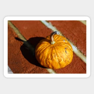 small pumpkin Sticker